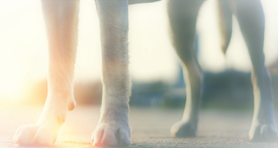 6BJzYOSCafEEm4wlMZiR.jpeg?w=940&h=940