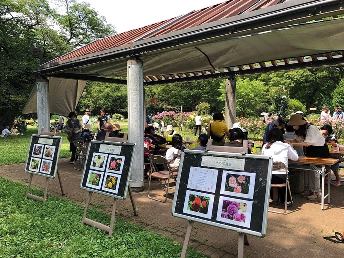 バラの写真展(過去開催時の様子)