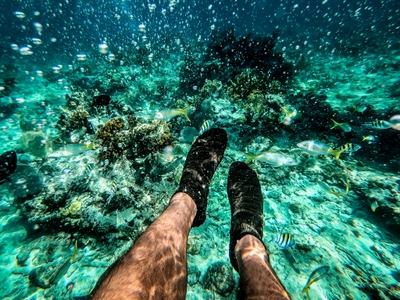 6EQI7WWdX7Zsa5cW0Y0e.jpg?w=940&h=940