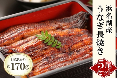 浜名湖産うなぎ５尾（長焼）