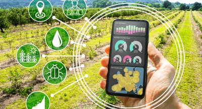 6GXVmtbvJP6B9TXk6zEy.png?w=940&h=940