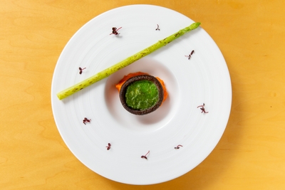 6HNasluGtpe5HUA0Nmyp.jpg?w=940&h=940