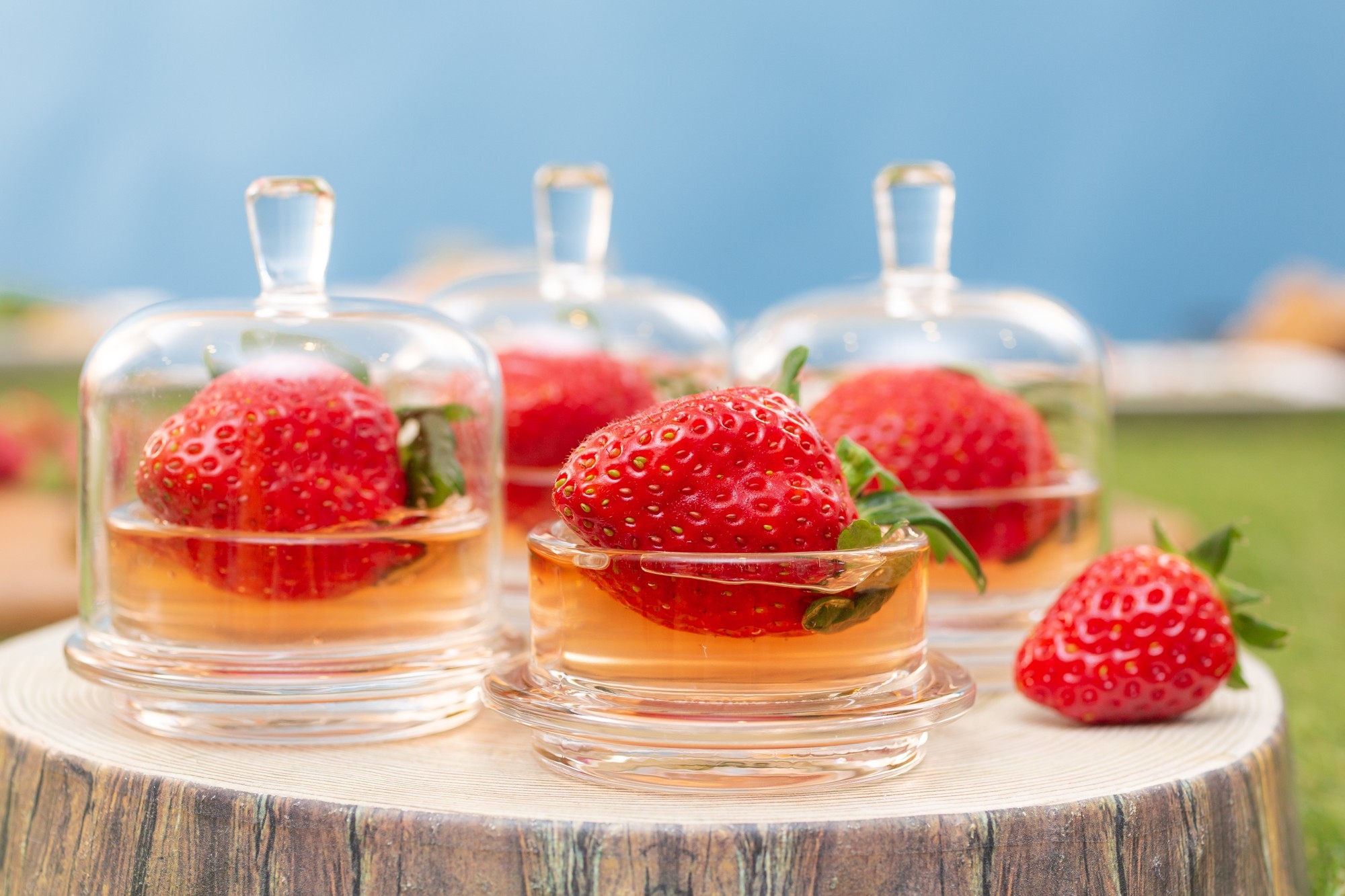 ウェルカムスイーツ