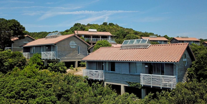 大型犬と同室滞在が可能な 1棟貸切の「ドギー・ヴィラ317」