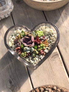 6J1I8EEigkVaVRKfDkbl.jpg?w=940&h=940