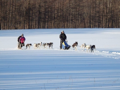 6J9WwHdVZUU5tjgvA9G1.jpg?w=940&h=940