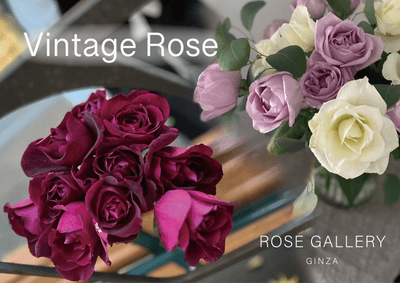 6JjAcUQzFVZ73z0TNIT4.png?w=940&h=940