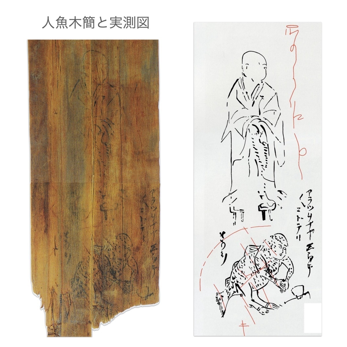 人魚木簡と実測図