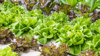 6K5phmLEIfPwvIKH1ZqV.png?w=940&h=940