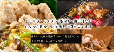 6KAhZ6H1zwg2elBXxj8Z.jpg?w=940&h=940