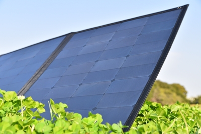 6MCYv9PrlUFZNUfWbI80.jpg?w=940&h=940