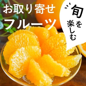 旬を楽しむフルーツが盛りだくさん！