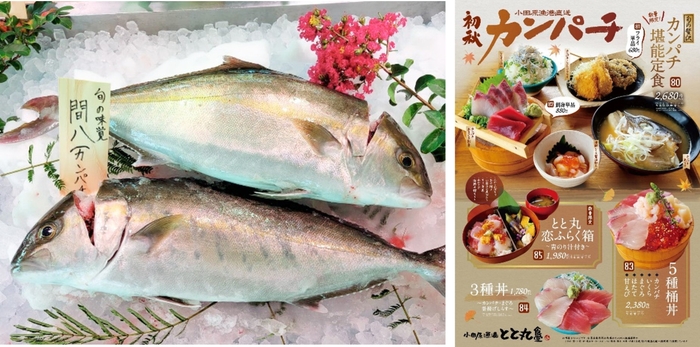 秋のカンパチフェア 開催期間:9/13(金)~9/30(月)