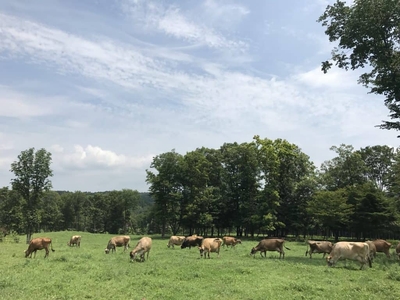 6Mg89v8aQ4IhjJoHjOor.jpg?w=940&h=940