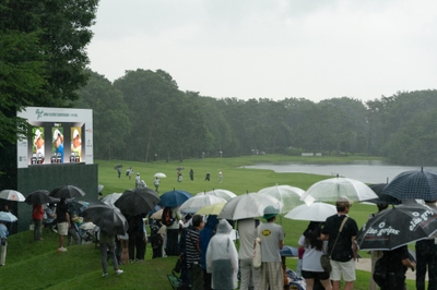 6NViAg2Uba85MEui3oD5.jpg?w=940&h=940