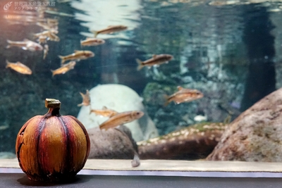 6OsXEn5jJPkigvDTAkbJ.jpg?w=940&h=940