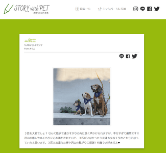 6Ovu7qTnrIrXIrkvRfJd.png?w=940&h=940