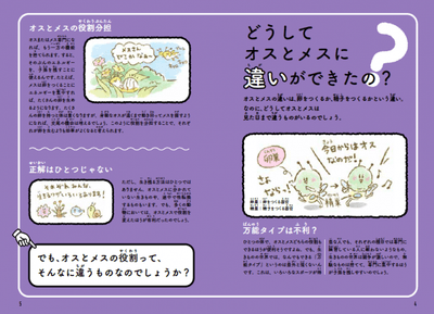 6P6rYwlF7Lu2v2SFDC6z.png?w=940&h=940