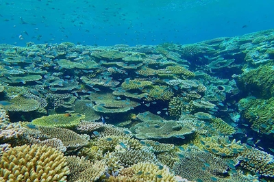 6QATyTz0WCxw3lD7Zvgo.jpg?w=940&h=940