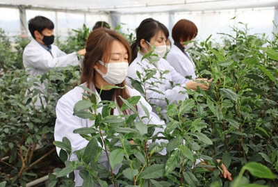 6RHU9qgY4K23pWcsu6vj.jpg?w=940&h=940