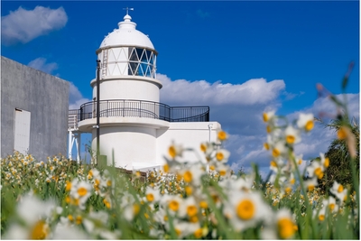 6RqA84oV3HZd2JvKJpB8.jpg?w=940&h=940