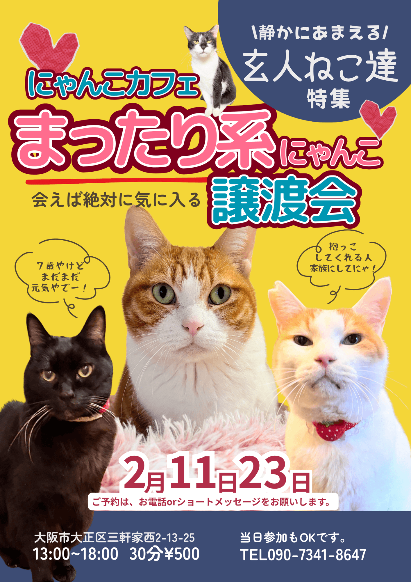 2/11・2/23 店内譲渡会開催のお知らせ