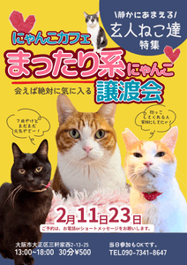 6SbiFUeyf8IQl2mmk89R.png?w=940&h=940