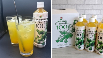 （左から）シークヮーサーサワー590円（北千住店・溝口店）・シークヮーサードリンク490円（北千住店）／　JAおきなわシークヮーサー100