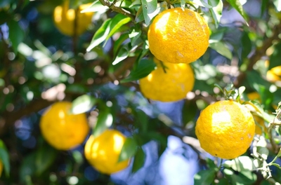 6THSg3fEjhbxHhPCdIZG.jpg?w=940&h=940