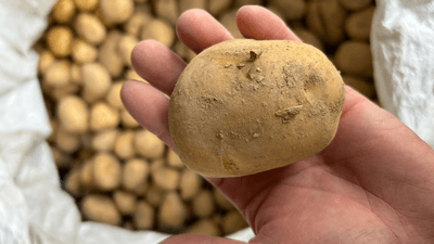 6TSWtKc5nVSoqUsUYrtG.png?w=940&h=940