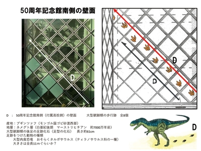 6TUGY82zDeELM4apwtda.jpg?w=940&h=940