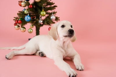 6Td8cQOd2wFai99prE8E.jpg?w=940&h=940