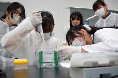 6U118RB2S0YYlxgVDvVH.jpg?w=940&h=940