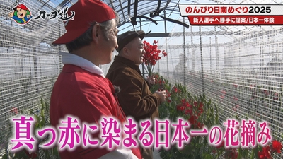 6WuIoCop9nVdSrMQxZFm.jpg?w=940&h=940