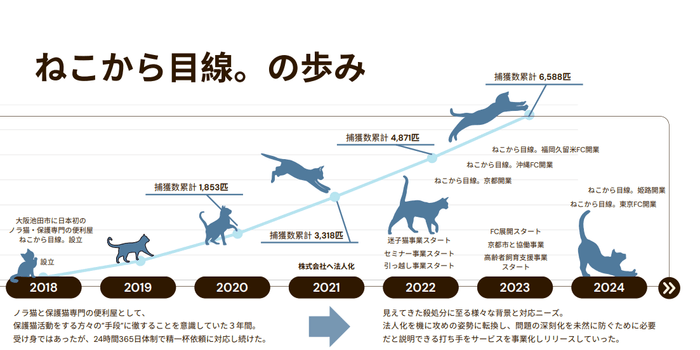 ねこから目線。の歩み