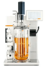 6Ww9mMKlodIpRYtZemDF.png?w=940&h=940