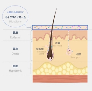 6XsRpAtnIjKFoZkSyD6o.jpg?w=940&h=940