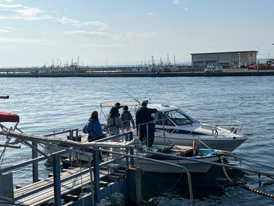 6Y8mcG1DYoNL9tyMzBfp.jpg?w=940&h=940