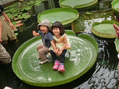 6ay1WmU7hfgKR2UptCeu.jpg?w=940&h=940