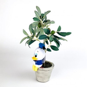 6bNeLoICht1Y779HPfLX.jpg?w=940&h=940