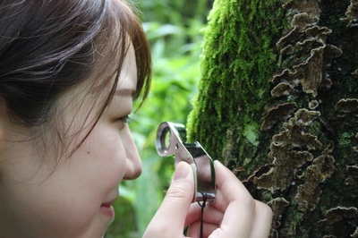 6cKs9VtEzrLt0mDE6e9O.jpg?w=940&h=940