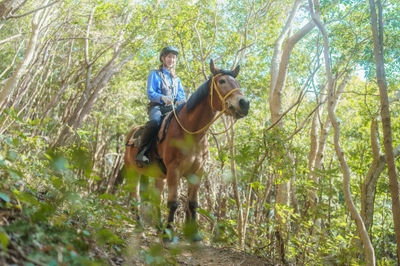 6dm3RGsrNNW4Hn0yYk5V.jpg?w=940&h=940