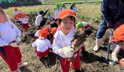 令和6年（2024年）のサツマイモ収穫体験の様子