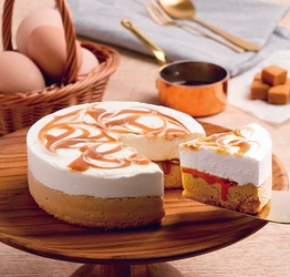 新ブランドchef's cochin(シェフズコーチン)をスタート　 名古屋コーチンの卵を原料とした新商品 「キャラメル コーチン フロマージュ」発売