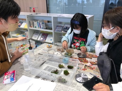 6g1KmV2enIFl2aDMJdiH.jpg?w=940&h=940