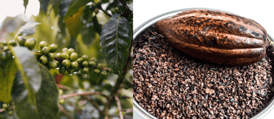 6gonHZA0LUH1PN6bscA5.png?w=940&h=940