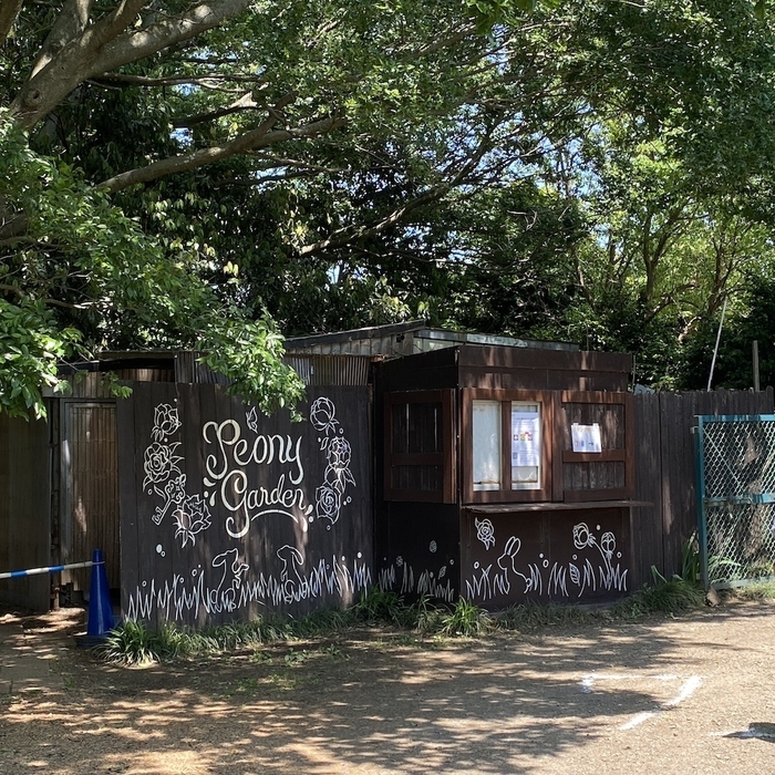 好評のフォトウォール