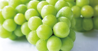 6jtk9FnlrgtneARrLvUZ.jpg?w=940&h=940