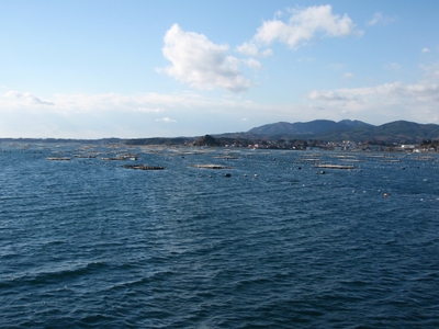 6kJuIJEyaTZ7B28maKRF.jpg?w=940&h=940