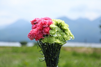 6kdHYybUL19sqr4MyhDQ.jpg?w=940&h=940